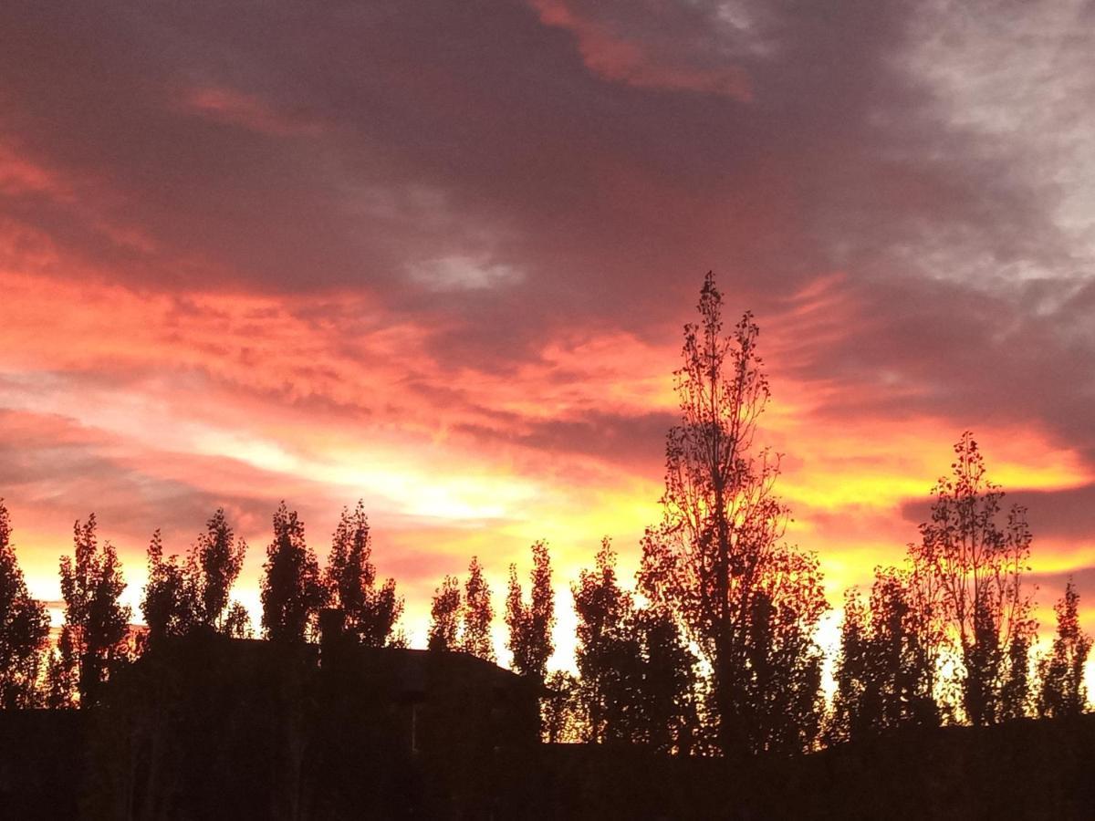 Cielos Patagonicos Aparts El Calafate Exteriör bild
